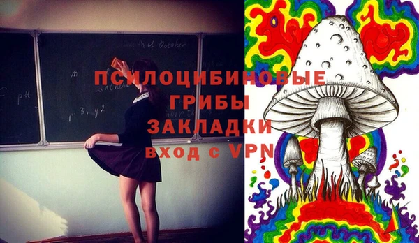 метадон Коряжма