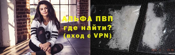 стаф Костерёво