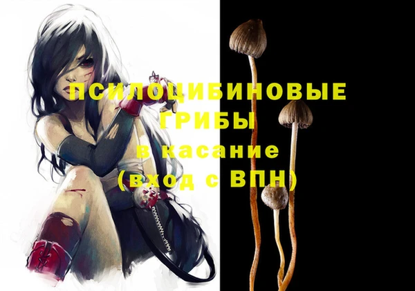 метадон Коряжма
