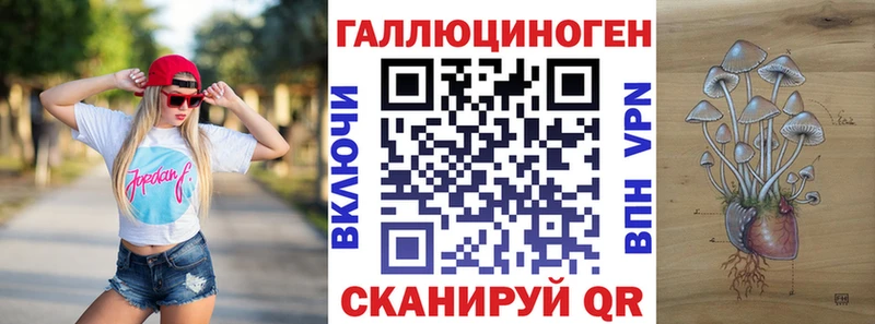 Псилоцибиновые грибы MAGIC MUSHROOMS  Купить где  Астрахань 